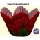 KIT 48 PIROTTINI MINI MUFFIN PETALI DI ROSE ROSSE Wilton