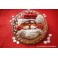 STAMPO IN SILICONE TORTA BABBO NATALE SFT 334 SANTA CLAUS IN GIFT BOX LET'S CELEBRATE di SILIKOMART